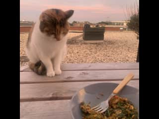 Will want your food
