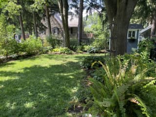 View of fenced in back yard in summer.