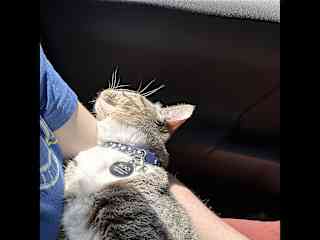 Soaking up the sun on our drive.