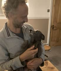 A friend's slightly aged Italian greyhound, so soft and placid. I met though my landlady in Ulverston before I began pet-siting.