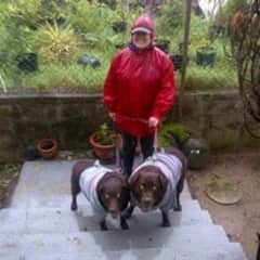 Latte and Leo: rain or shine walkies!g