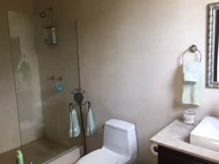 Guest bathroom