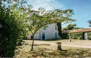 Courtyard garden