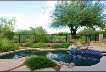 Pool and back yard view