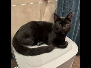 I’m such a pretty boy.