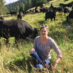 Me with Valais fighting cows