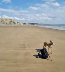 Dunraven beach 40 mins away