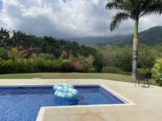 Pool and backyard.