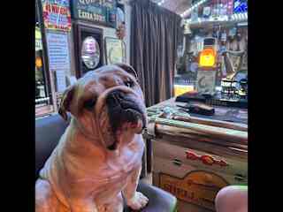 Loves sitting with his dad in the man cave