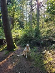 On a favorite walk, Pt. Defiance Park, 12 minutes away