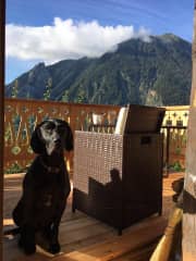 relaxing at home on the balcony after a walk