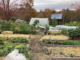 Extensive vegetable garden.