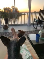 Hilo enjoying sunrise at the house