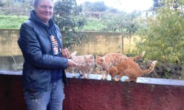 Here I take care of very cute cats on the island Madeira.