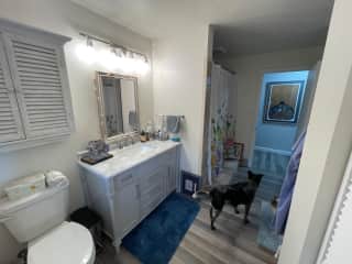 full bath (with Cole, our blue heeler)