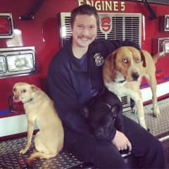 Andrew with all three dogs