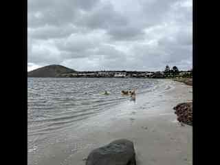 Beaches close by