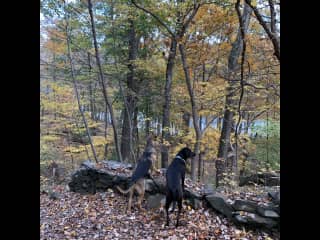 Enjoying a beautiful autumn hike.
