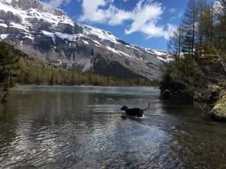 Having a swim in the lake