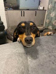 She likes meal times