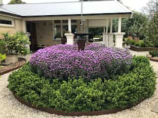 Courtyard & back verandah.