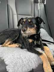 Loves a car journey