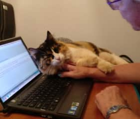 Dipsy helping with emails in Dampier, WA August 2017