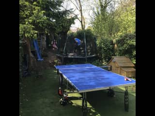 Table tennis table and trampoline