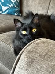 Waiting patiently for a snack, sometimes she'll show off her pretty eyes.
