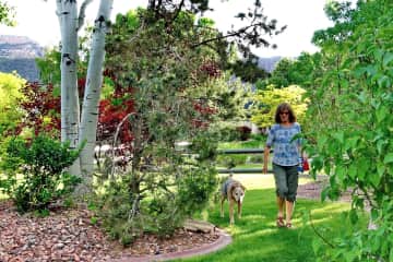 Lucky and Sue in our yard