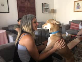 Sweet Kamasi, my nephew's dog. She's one of those adopted dogs that's pretty skittish and takes a while to warm up to people. I'm happy to say, she likes me now!