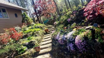 The walkway up to our front porch.