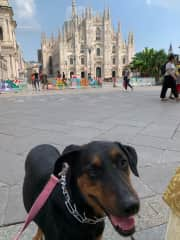 Buffy at Duomo