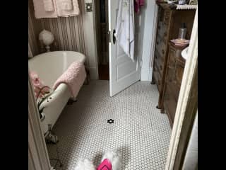 Downstairs Bathroom with walk in shower and clawfoot tub.