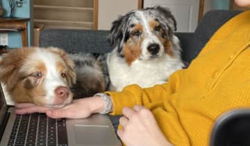 Cuddles with my girls. The family Aussies.