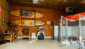 Indoor dog play area —Tristan, Skye and Ruthie sleep in here at night —8pm until 7am.