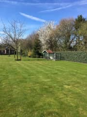 Chicken house and garden