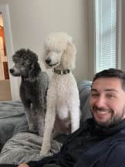 Movie day on the couch with Llama and Alpaca