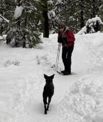 Me and Lyra, my nephew's dog in Oregon, December 2022