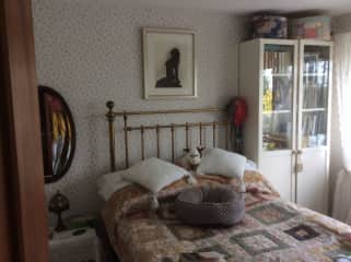Guest bedroom
