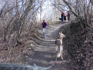 Nikki, going up hill to River Park-off leash park.