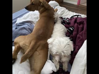She stretches so long!
