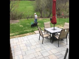 backyard/patio, with gas grill