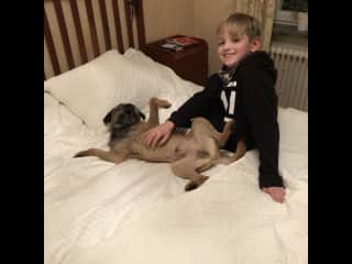 Noah och Olle having a good time in my bed.