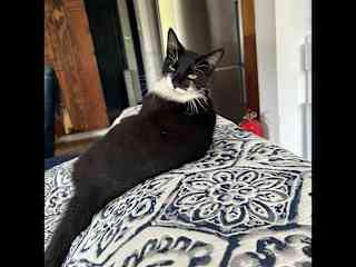Tiff casts a baleful glance at the camera
