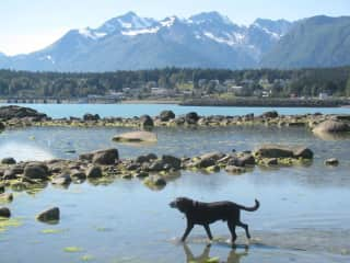 Maverick with Haines in background