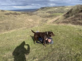 Fun at the South Downs with Archie