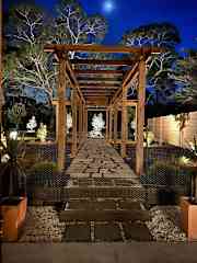 Moonlit evening - recently landscaped dry garden.