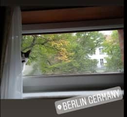 First days in Berlin