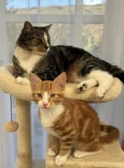 They are best of friends